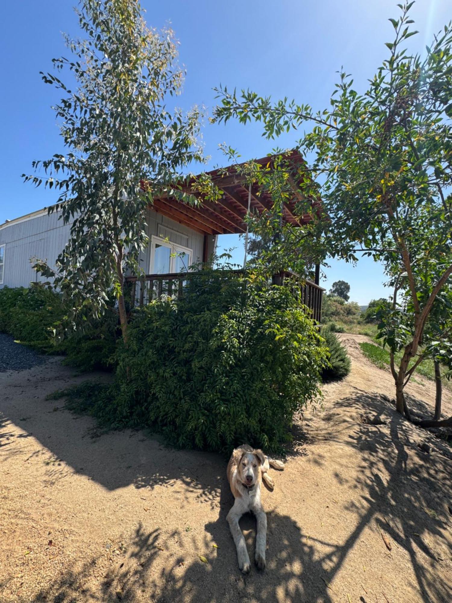 Rancho Dominique Valle De Guadalupe Exterior foto